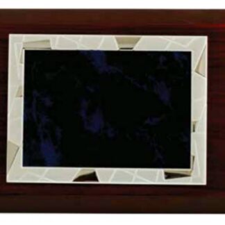 Placa de Homenaje P97285